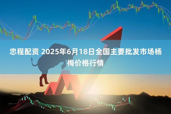忠程配资 2025年6月18日全国主要批发市场杨梅价格行情